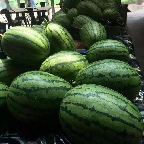 光夜吃瓜,揭秘娱乐圈背后的秘密与八卦