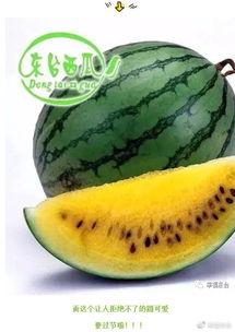 东台吃瓜事件视频,一场网络热议的真相揭秘