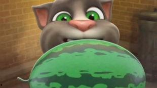 吃瓜汤姆猫,揭秘宠物界的“八卦达人”