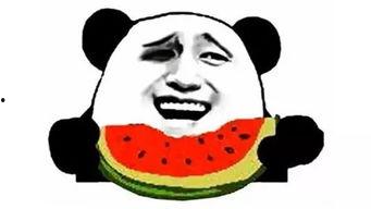 吃瓜被选,揭秘网络热议背后的真相与趣味