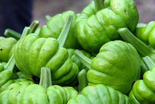 姜柄瓜怎么吃最好,姜柄瓜的最佳食用方法概述