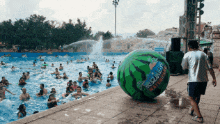 冲浪的吃瓜,揭秘冲浪圈的那些事儿