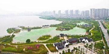 成都沙湖公园吃瓜,悠闲生活新体验