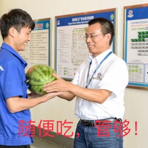 飞扬吃瓜,揭秘娱乐圈那些不为人知的幕后故事