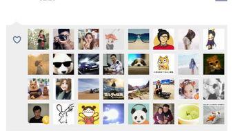 吃瓜风格的广告,一瓜倾城！揭秘网红瓜果的神奇魅力