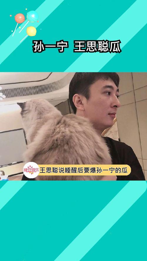 睡醒有瓜吃,揭秘日常生活中的趣味小秘密