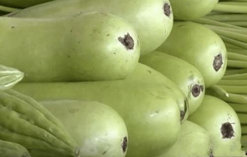 牛吃瓜中毒,牛误食瓜果中毒事件解析