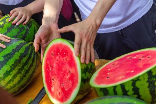 遵义大学吃瓜,吃瓜群众揭秘校园热点事件