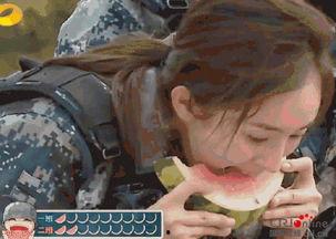 吃瓜群众变情侣,一段瓜田下的浪漫邂逅