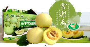 广东吃瓜视屏,揭秘当地独特美食文化