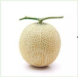 吃瓜群众melon,揭秘娱乐圈的幕后故事