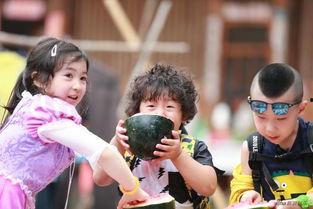 kpop吃瓜占卜娃,揭秘“吃瓜占卜娃”背后的秘密与魅力