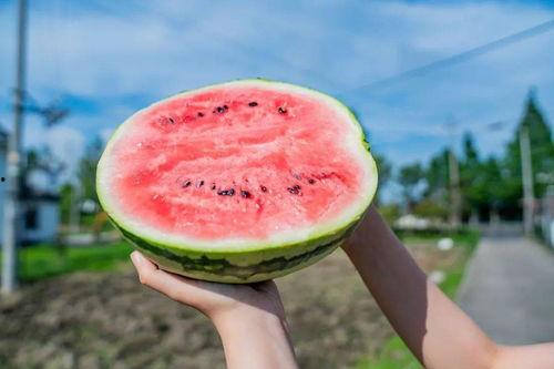 广州吃瓜打卡,吃瓜打卡，解锁地道风味之旅