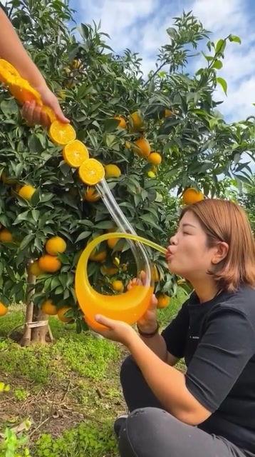 橙姐吃瓜,揭秘娱乐圈幕后真相