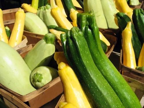 带你吃高档瓜,带你探索高档瓜果的精致世界