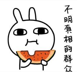 聚会吃瓜文案短句搞笑,聚会吃瓜，欢乐无限短句集锦