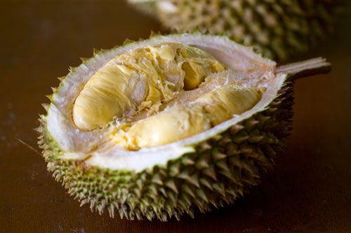 吃蜜瓜榴莲视频,一场味蕾的奇幻之旅