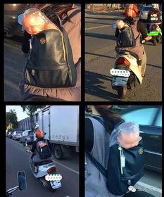 吃瓜后排观众,一场场精彩赛事背后的故事