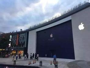 宁波豪宅圈吃瓜,揭秘高端圈层背后的故事