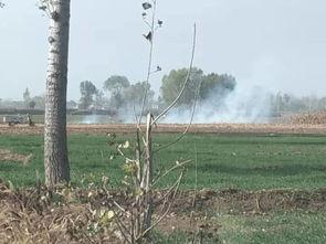 任县骆庄吃瓜事件,一场引发热议的乡村奇闻