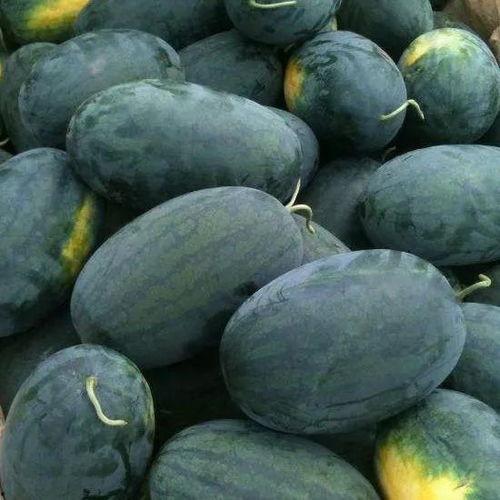 濮阳胜利路吃瓜