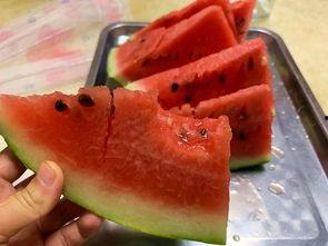 黑美人吃地雷瓜,黑美人勇闯地雷瓜奇遇记