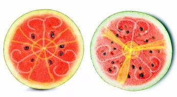 小崽吃瓜,揭秘娱乐圈那些不为人知的幕后故事